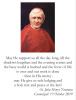 Special Limited Edition Collector's Series Commemorative Cardinal John Henry Newman Canonization Hol